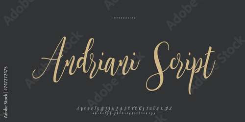 signature Font Calligraphy Logotype Script Brush Font Type Font lettering handwritten	