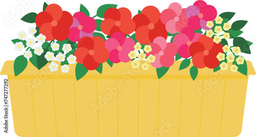 プランターに入った赤とピンク色のパンジーのイラスト