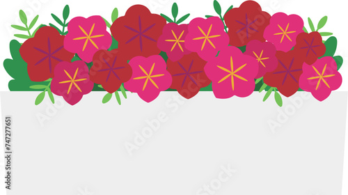 プランターに入った赤とピンク色のペチュニアのイラスト