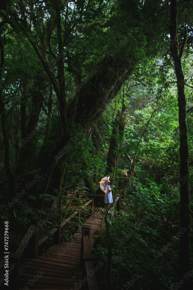 Fototapeta premium Young woman in white dress with umbrella decorated with wire lights in foggy forest