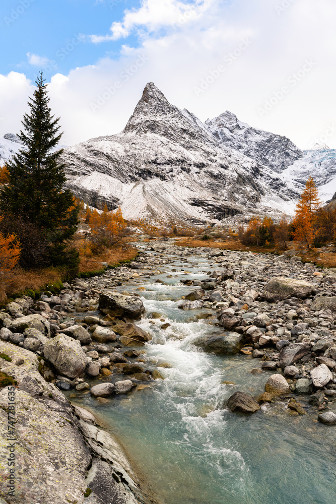 Foliage in the Alps Foliage in the Alps