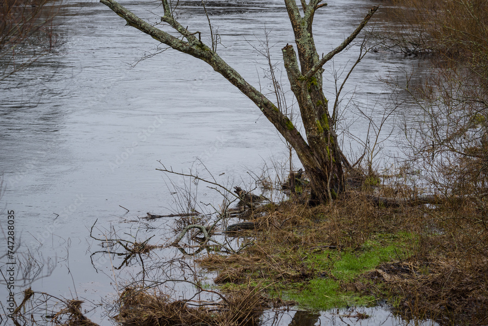 FLOOD - Flooded river valley and meadows after the rains FLOOD - Flooded river valley and meadows after the rains