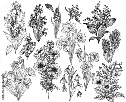 Vector set of 13 bouquets of spring flowers. Snowdrops, crocuses, brunnera, tulips, muscari, hyacinths, irises, daffodil, pansies, lily of the valley, anemone, scilla 