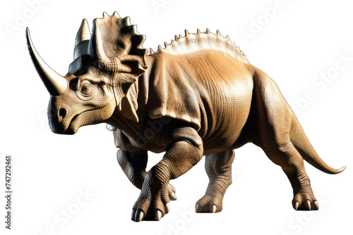 a high quality stock photograph of a Triceratops dinosaur full body isolated on a white background