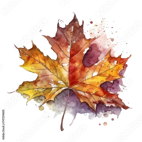 Autumn watercolour leaves