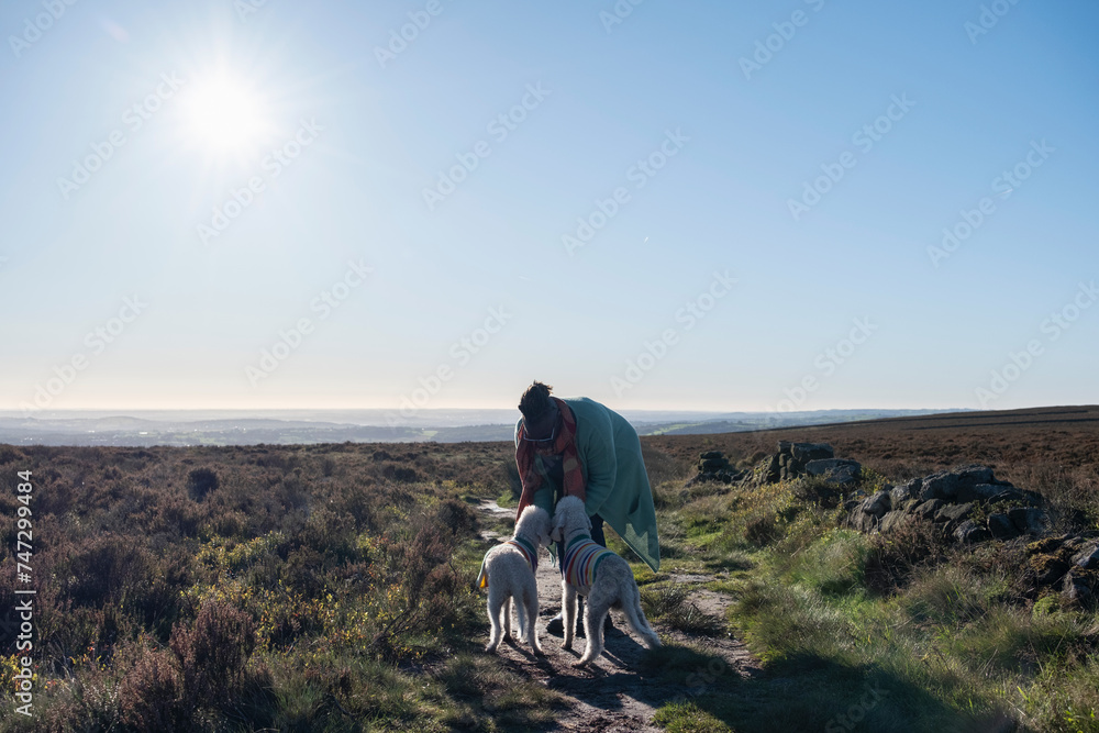 Woman with two dogs hiking in moorland