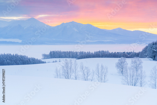 霧氷する千望峠　冬の北海道上富良野観光