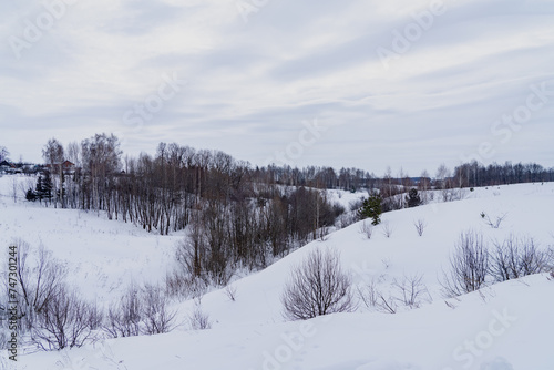 winter landscape with snow © Konstantin