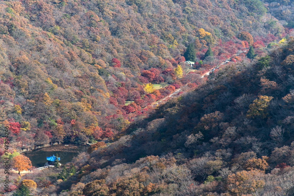 View of the valley in the autumn mountains 