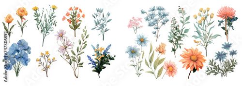 Elegant Collection of Hand-Painted Watercolor Flowers, Blossoming Plants and Foliage for Invitations, Decorations, and Art