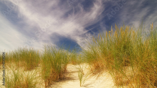 sand dunes and grass Baltic sea Pogorzelica 