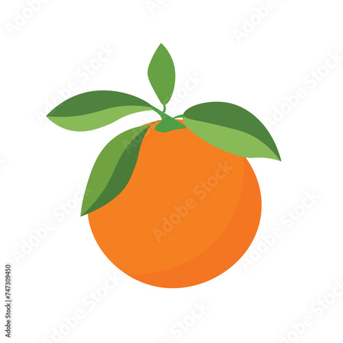Colorful orange fruit vector image, isolated on white background