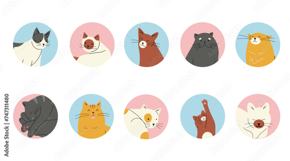 10 Circle shape icons with different cat breeds, hand drawn vector illustrations isolated on white background 10 Circle shape icons with different cat breeds, hand drawn vector illustrations isolated on white background