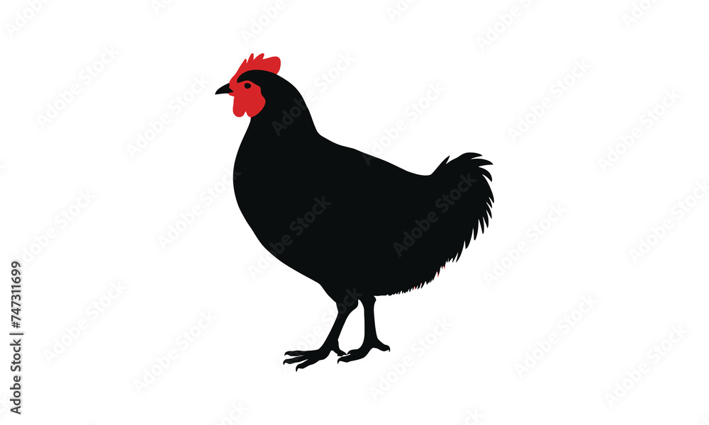 Fototapeta premium chicken silhouette