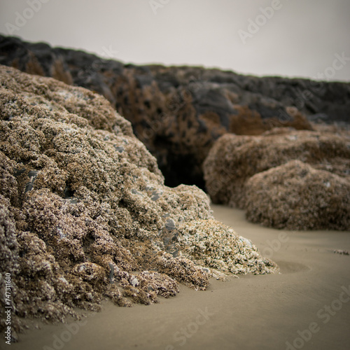 Rocks of Barnacles on sands 