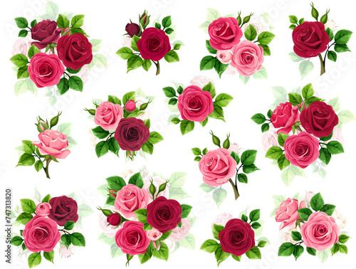 Red and pink roses. Big set of vector design elements with red and pink rose flowers and green leaves isolated on a white background