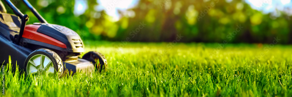 Lawn mower cutting green grass in backyard, mowing lawn. Panoramic banner with copy space