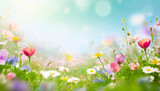 Spring meadow with colorful flowers. Nature background.