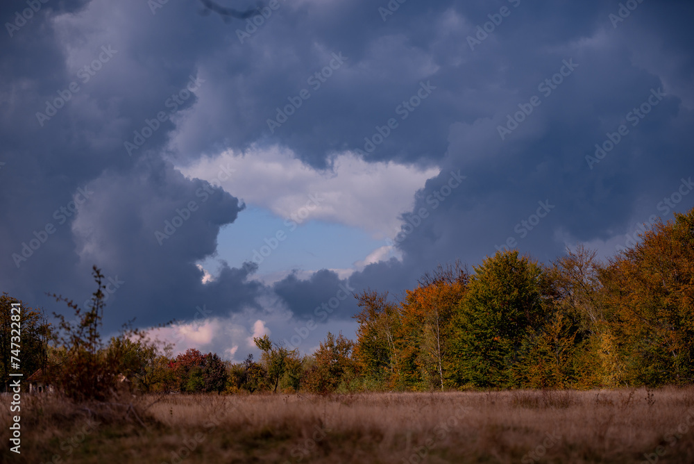 A beautiful autumn landscape with a huge colorful forest. Astonishing view into the woods colored in golden and yellow during fall season A beautiful autumn landscape with a huge colorful forest. Astonishing view into the woods colored in golden and yellow during fall season