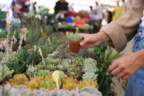 Cropped shot of woman shopping for different cactuses and succulents in flowers store. Bunch of plants in pots for sale in greenhouse market. Close up, copy space for text, background, top view.