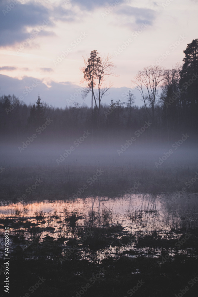 Evening fog above the flooded field in countryside area 