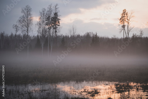 Evening fog above the flooded field in countryside area 
