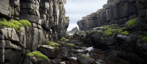 A narrow path winds through rocky coastal crevices, with moss thriving on the rough surfaces despite the harsh conditions of the environment.