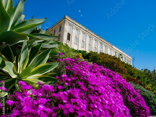 Beautiful Flowers and Garden on Alcatraz Below the Main Cell Block Building