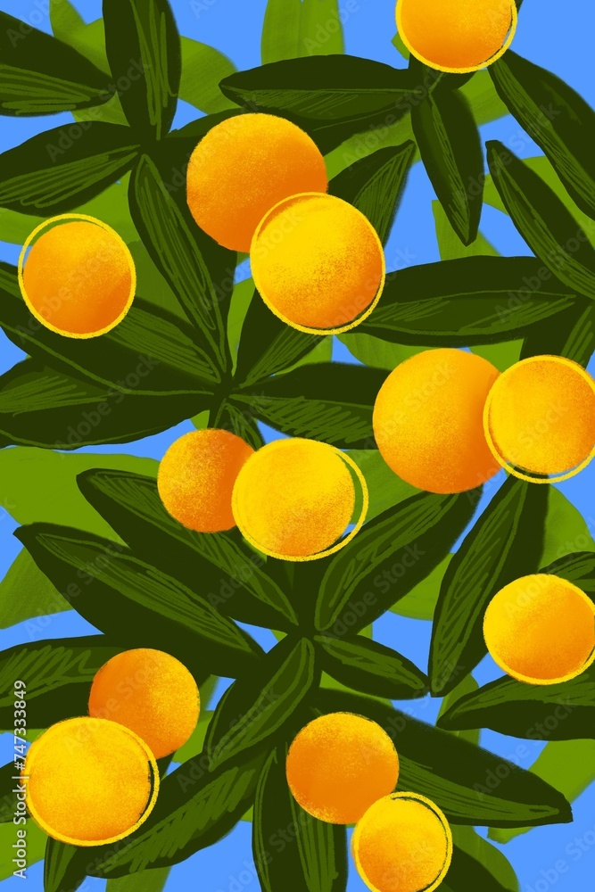 Abstract simple oranges hand drawn illustration