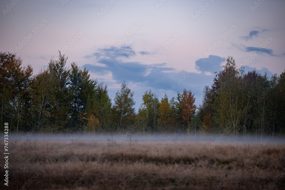 Landscape with fog at dusk. An open field at the edge of the forest during a dark evening after rain Landscape with fog at dusk. An open field at the edge of the forest during a dark evening after rain