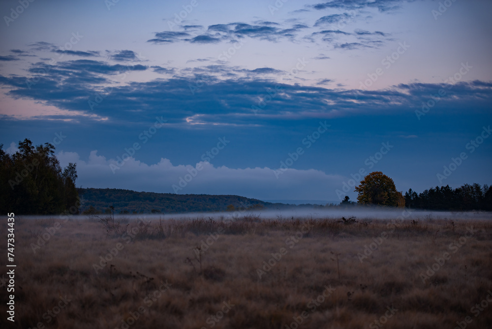 Landscape with fog at dusk. An open field at the edge of the forest during a dark evening after rain
