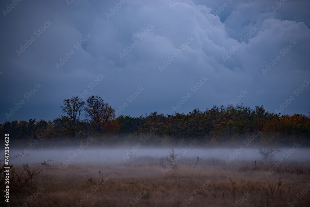 Landscape with fog at dusk. An open field at the edge of the forest during a dark evening after rain Landscape with fog at dusk. An open field at the edge of the forest during a dark evening after rain