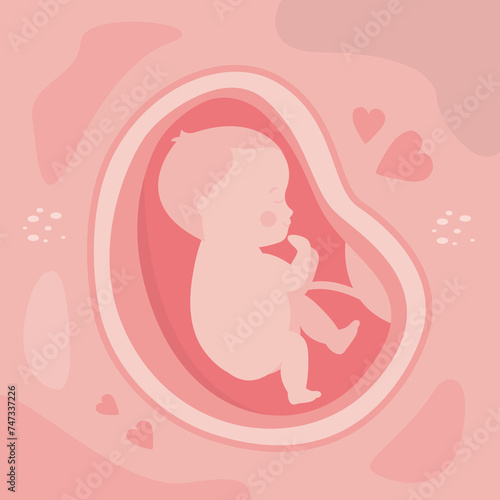 Baby in womb of pregnant woman. Cute child in the stomach of pregnant lady. Stage of embryo development. Pregnancy, concept.