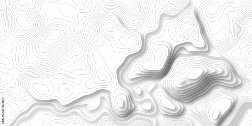 Modern Line topography map grid contour background, geographic grid. Abstract vector illustration. abstract pattern and Topographic map background.