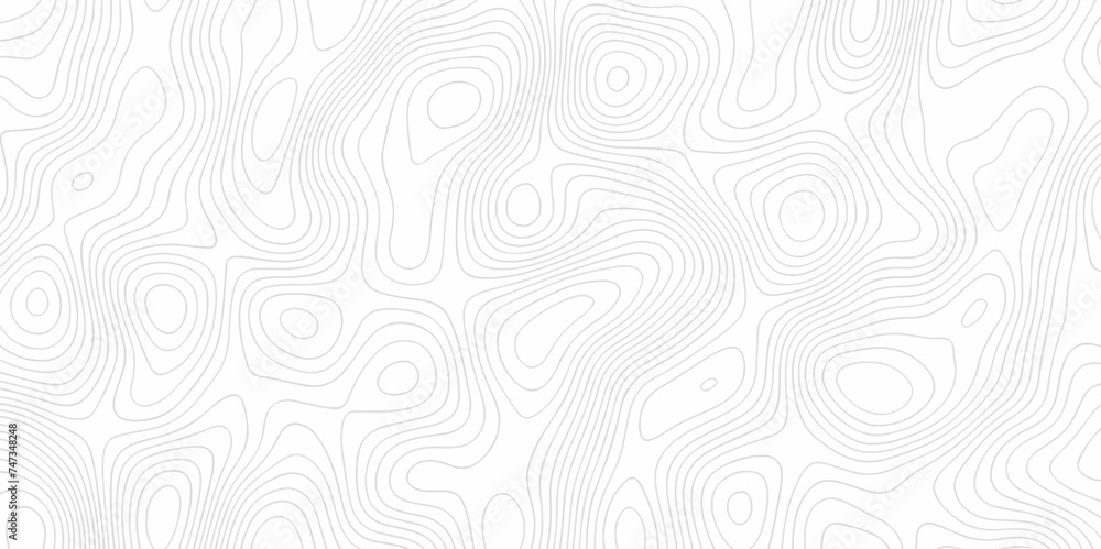 Modern Line topography map grid contour background, geographic grid. Abstract vector illustration. abstract pattern and Topographic map background.