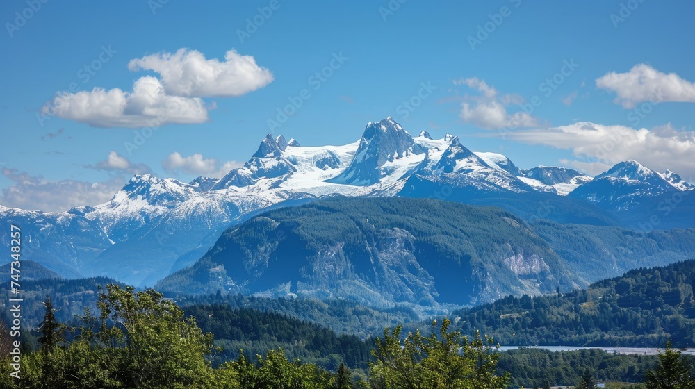 This is a beautiful landscape image of snow-capped mountains in the distance with green trees in the foreground.