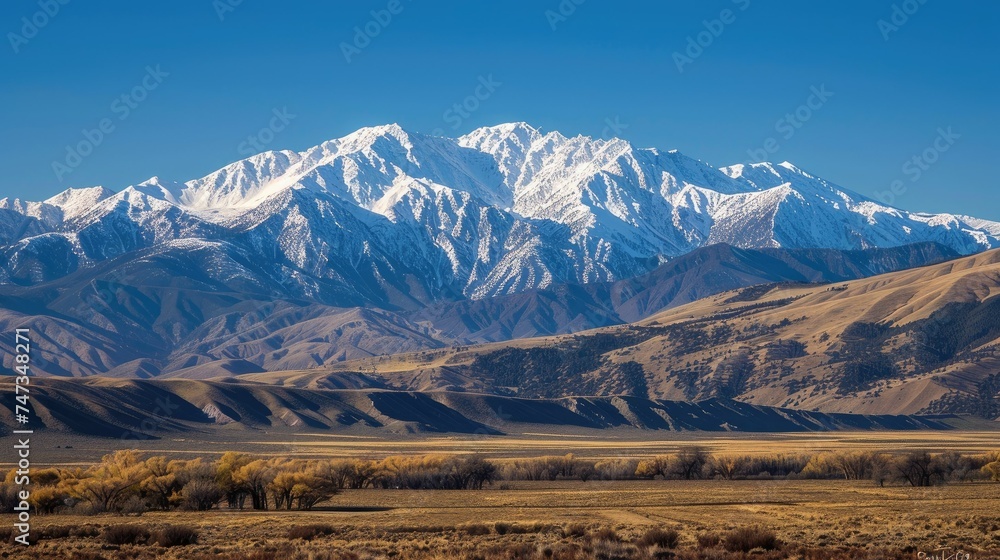 This is a beautiful landscape photograph of snow-capped mountains in the distance with a vast desert valley in the foreground.