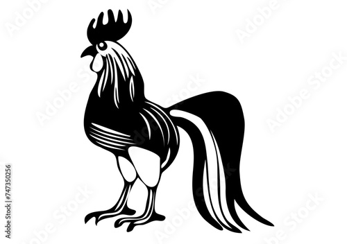 Coq