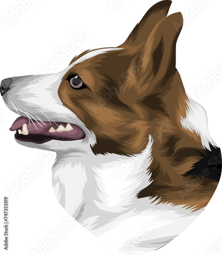 close up of a dog head