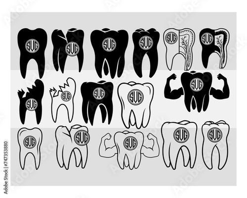 Tooth Cilcle Monogram SVG, Tooth, Human Teeth, Dental Svg, Wisdom Teeth Svg, Tooth Decay Svg, Teeth Svg, Teeth Silhouette, Dentist, Dental Hygienist, Healthy Teeth, Cilcle Monogram