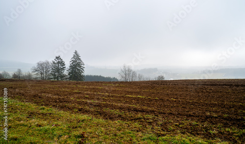 Rural winter landscape with mist
