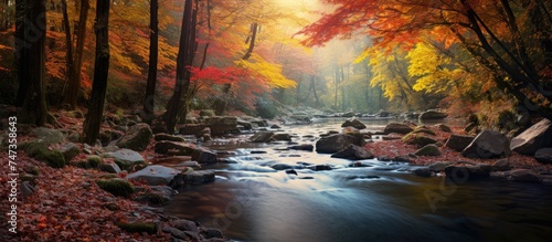 A stream flows steadily through a dense forest filled with tall trees, their colorful foliage creating a picturesque autumn scene. The tranquil stream adds a soothing element to the vibrant natural © AkuAku