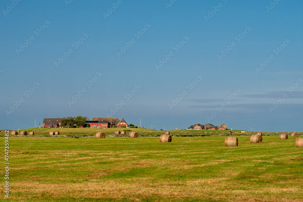 Fototapeta premium Ockelutzwarft and Mitteltritt on Hallig Hooge, North Frisia, Schleswig-Holstein, Germany