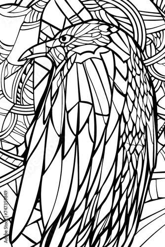 Intricate Drawing of a Black and White Owl, coloring page