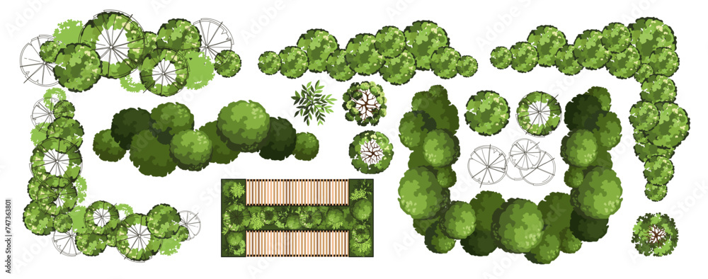 Top view elements for the landscape design plan. Trees and benches for architectural floor plans. Entourage design. Various trees, bushes, and shrubs. Vector illustration. Top view elements for the landscape design plan. Trees and benches for architectural floor plans. Entourage design. Various trees, bushes, and shrubs. Vector illustration.