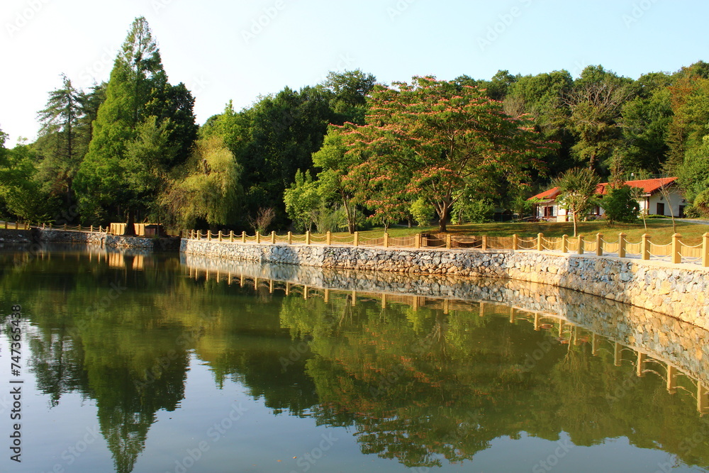 A small lake in the forest, Belgrade forest, Sariyer, Istanbul. A small lake in the forest, Belgrade forest, Sariyer, Istanbul.