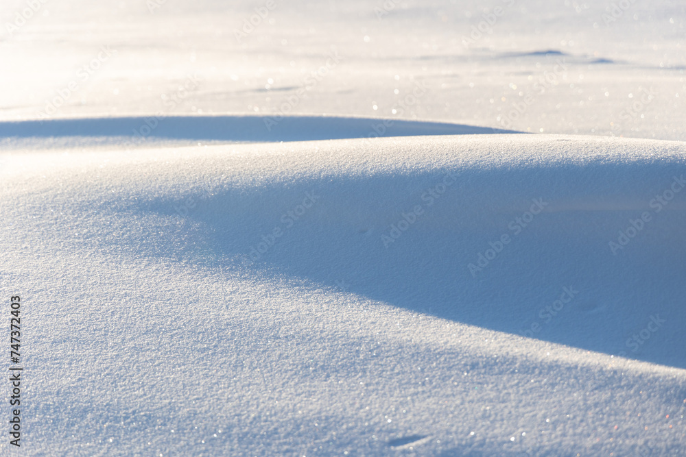 Swedish Winter Wonderland: Sunny Day Close-Up of Snowy Wilderness Landscape of Northern Europe