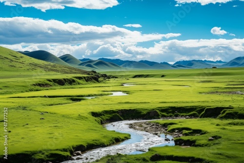 Mongolian green valley with a stream and mountains  stunning impressive landscape  nature without people.