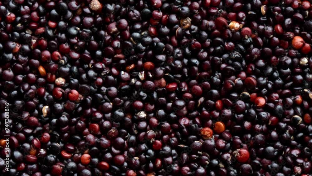 Texture of Organic Black Quinoa. Healthy Eating Concept. Texture of Organic Black Quinoa. Healthy Eating Concept.
