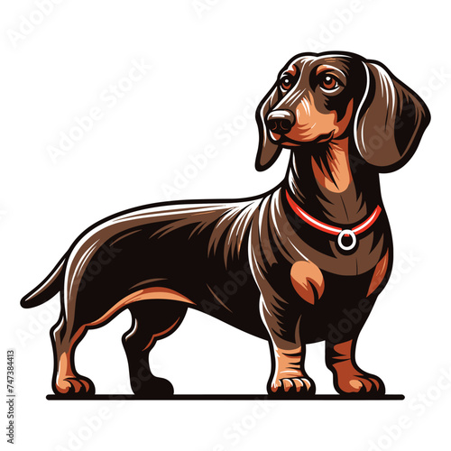 Wallpaper Mural Cute adorable dachshund dog cartoon character vector illustration, funny pet animal dachshund puppy flat design mascot logo template isolated on white background Torontodigital.ca
